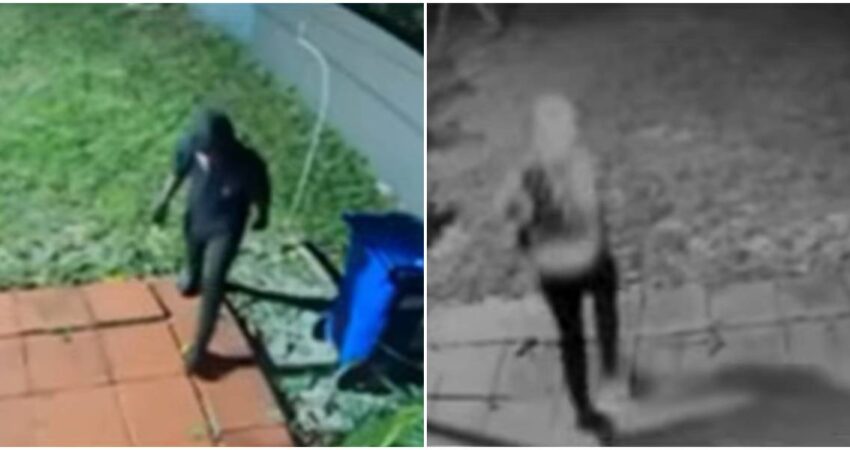 “Increíble video": ladrón entra a la casa de una joyera de Miami y ni la alarma logra detenerlo ladrón en Miami