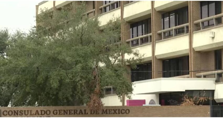 Desmantelan red que vendía actas de nacimiento mexicanas falsas para trámites migratorios de cubanos en EE.UU Consulado General de México en EE.UU