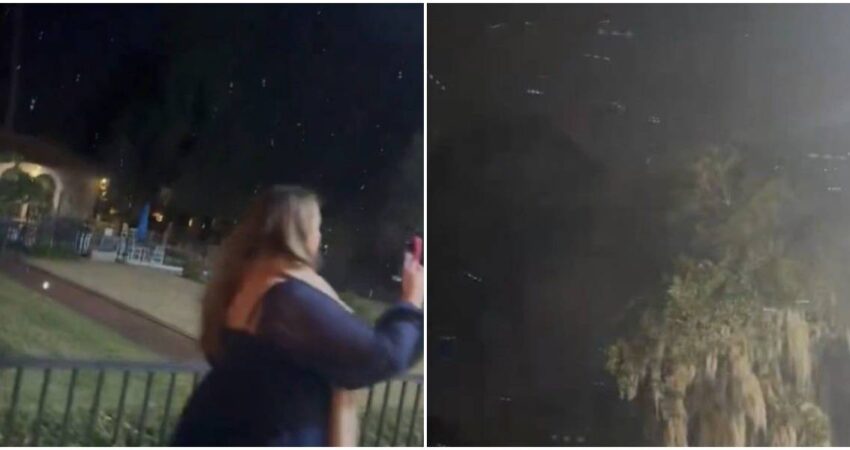 Florida registra copos de nieve en algunas zonas por frente frío extremo nieve-florida (3)