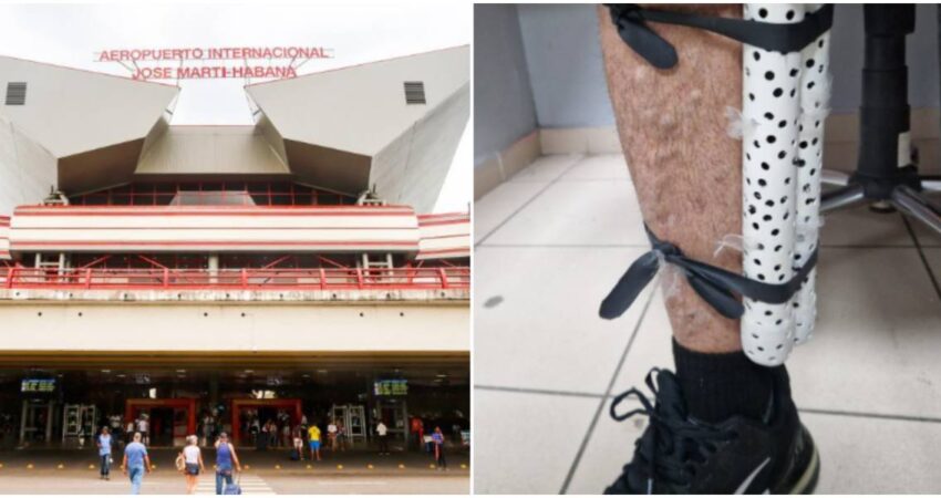 Un trรกfico ilegal que no se detiene: arrestan a cubano que intentรณ sacar 28 aves pegadas a su cuerpo en el Aeropuerto Internacional Josรฉ Martรญ Aeropuerto de La Habana-trรกfico de aves