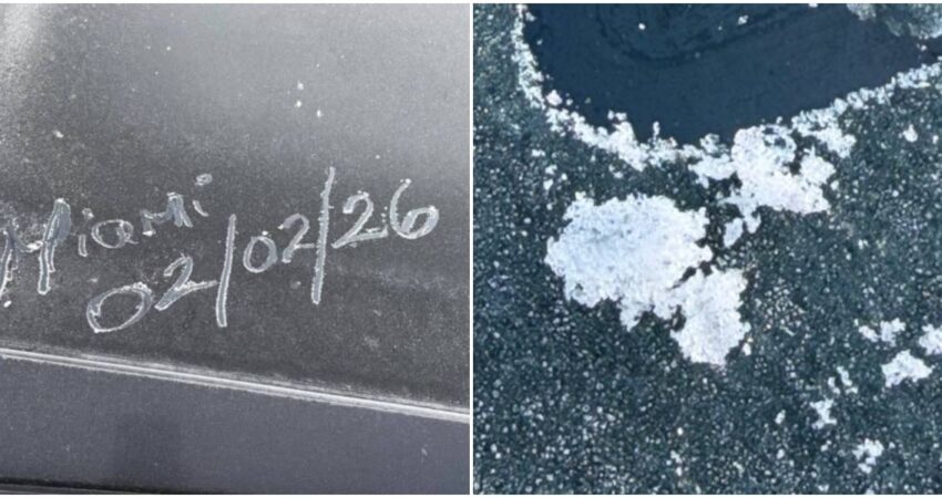 Florida amaneció congelada: estas son las imágenes del frío histórico que nadie esperaba ver Nieve en Florida (1)