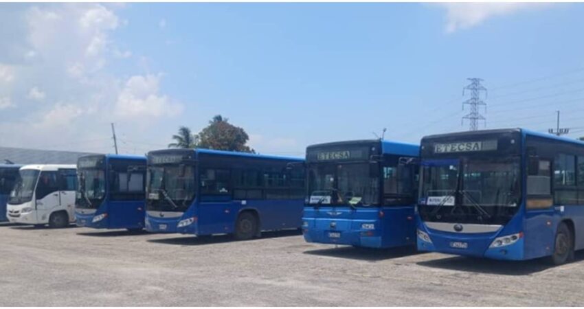 "Caos en La Habana": colapsa por completo el transporte urbano por falta de combustible Transporte La Habana