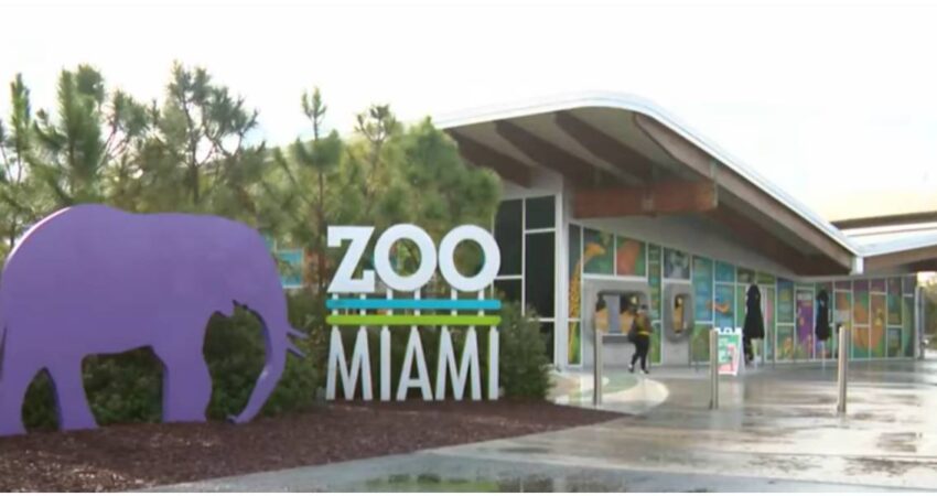 Amenazas de bomba obligan a cerrar Zoo Miami durante varios días y provocan evacuaciones Zoo de Miami