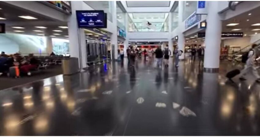 Viajar por Miami serรก mรกs cรณmodo: MIA abre habitaciones para descansar durante escalas aeropuerto de Miami (1)