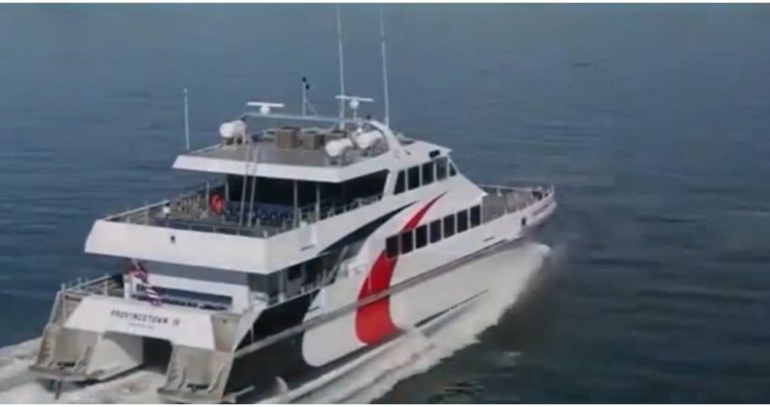 Todo sobre el nuevo ferry Tampa–St. Petersburg: precio, rutas y fecha de regreso Cross Bay Ferry
