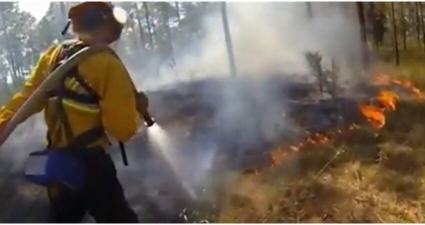 Florida al límite: calor récord e incendios desatan alarma en plena primavera incendio forestal en Florida