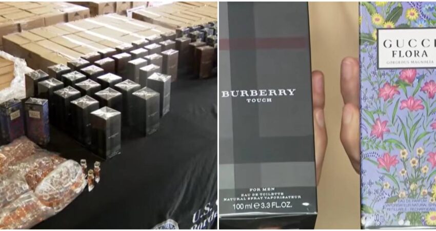 Más de 8,500 perfumes falsificados: el negocio oculto que intentó entrar por Miami perfumes falsos