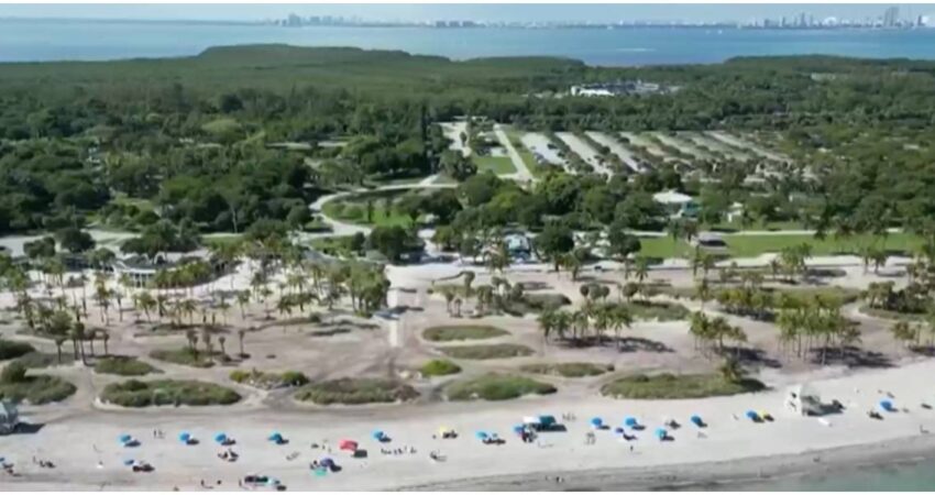 Alerta sanitaria en Miami-Dade: detectan bacterias en una popular playa de Key Biscayne Crandon Park Beach
