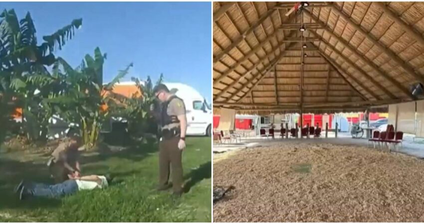 Videos revelan el caos en redada masiva contra peleas de gallos en Miami-Dade que dejó más de 40 detenidos arrestos-valla de gallos