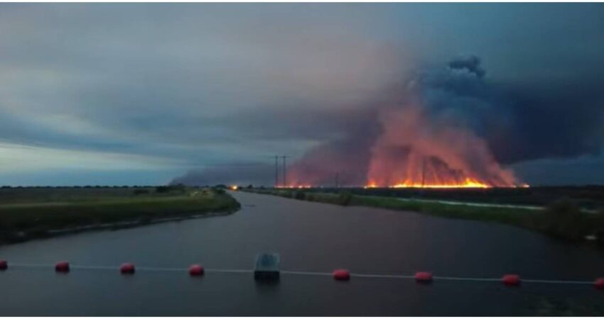 Infierno en el sur de Florida: incendios de maleza arrasan miles de acres en Miami-Dade y Broward incendio forestal en Florida (1)