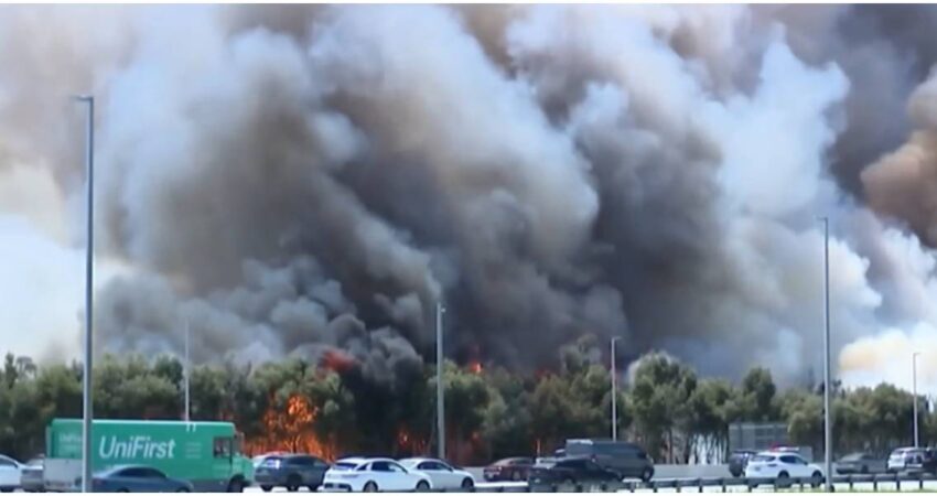 ICE evacúa Krome por los incendios en Miami-Dade: trasladan detenidos a otros estados mientras crece la emergencia Incendio forestal en Krome