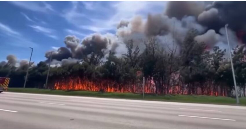 Miami-Dade bajo alerta: el humo de los incendios forestales pone en riesgo la calidad del aire Incendio forestal en Miami-Dade