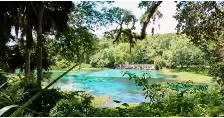 Ni parques temáticos ni playas llenas: estos ocho lugares revelan otra cara de Florida Rainbow Springs State Park