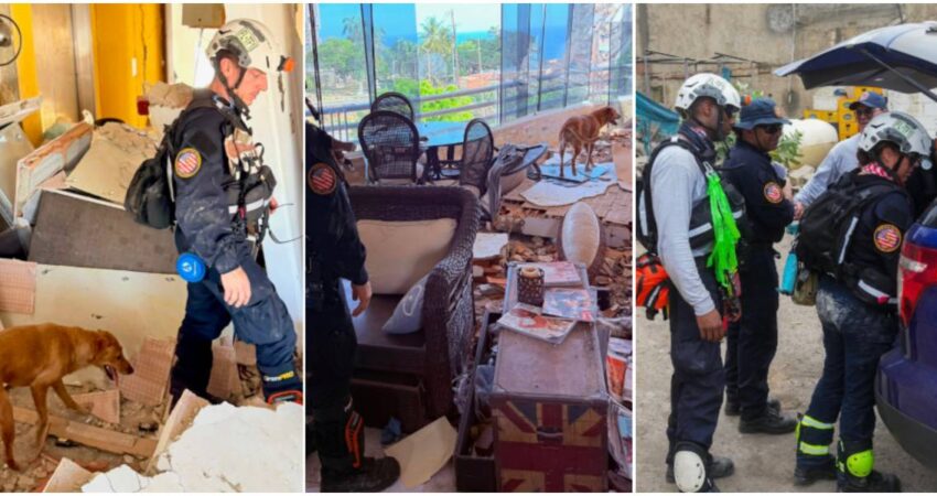Seis perros K-9 y 80 rescatistas: la misión de Miami-Dade para salvar vidas en Venezuela equipos de rescate