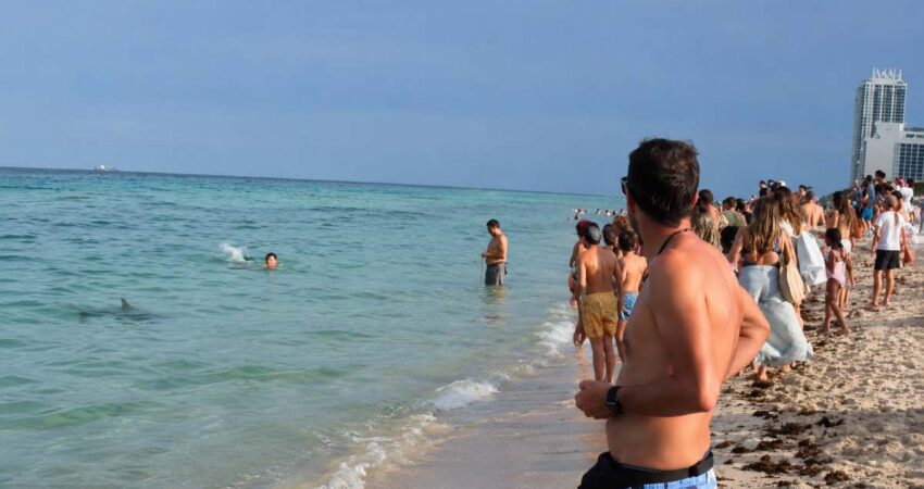 Avistamiento de un tiburón provoca momentos de tensión entre bañistas en Miami Beach miamibeachtiburon
