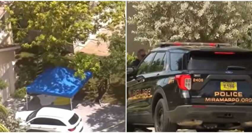 Policía investiga la muerte de una mujer de 56 años tras caer de un árbol de mango en Miramar fallecido-policía de Miramar