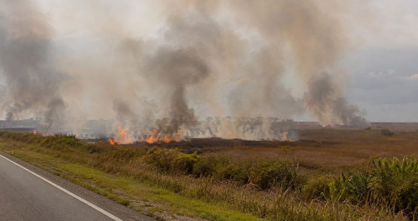 Humo de incendios cubre los Everglades y amenaza con llegar a zonas del sur de Florida Incendios forestales