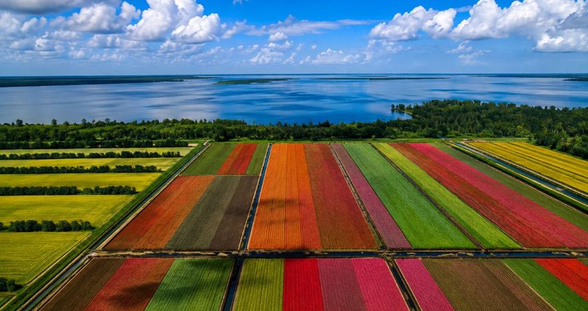 Lake Placid: la escapada de Florida que sorprende por sus campos de colores Lake Placid