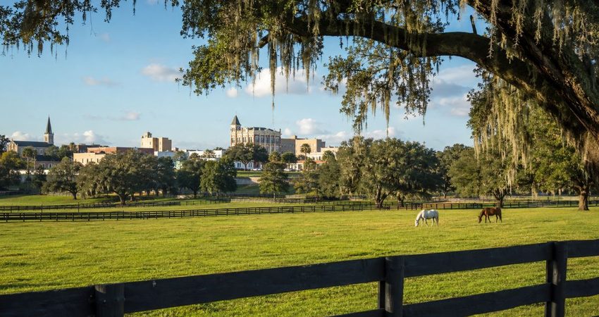Revelan los lugares más baratos para vivir en Florida, revisamos si las cuentas cuadran Ocala