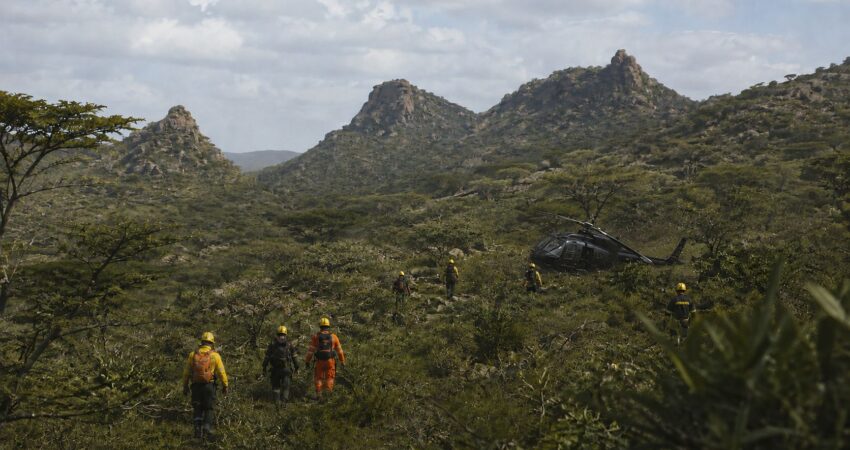 Conmoción en Miami: empresarios y ejecutivo de Telemundo mueren en tragedia aérea en Kenia accidente de helicóptero