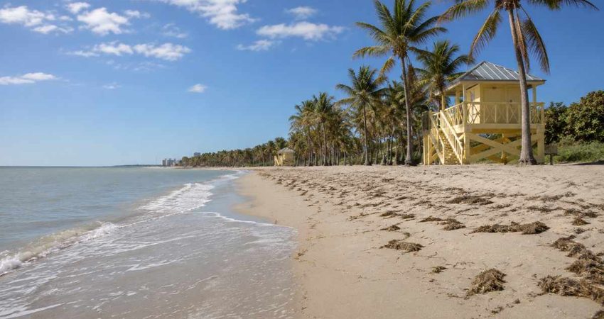 Advierten que no se entre al agua en una popular playa de Key Biscayne por altos niveles de bacterias crandonpark