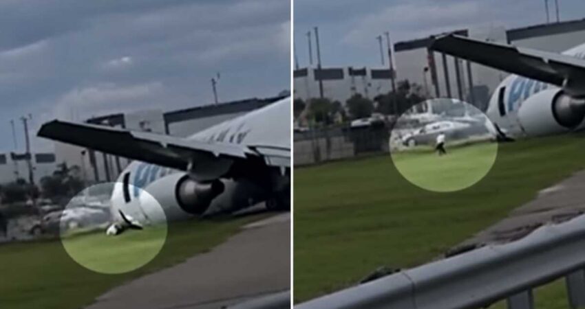 Nuevas imágenes muestran el dramático escape del piloto del avión de Amazon incendiado en Miami avionprimeair