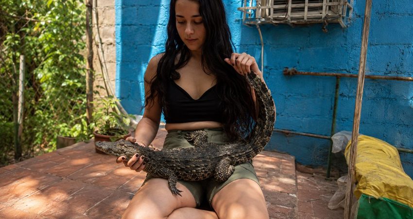 Joven cubana rescata un cocodrilo herido y lo mantiene en la piscina de su casa en Matanzas cubana y cocodrilo